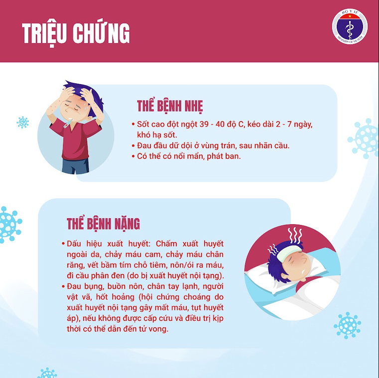 Những thông tin cần biết về sốt xuất huyết 